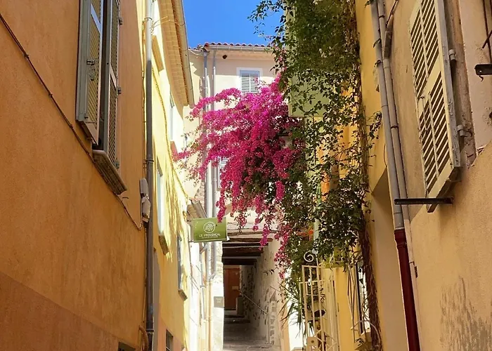 Appartement Palmiers, Coeur De Ville Sur Le Parcours Des Arts